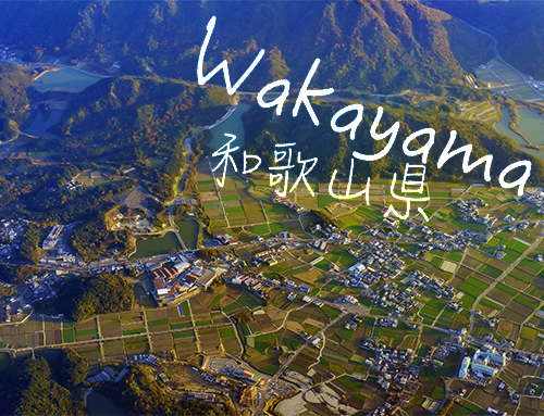 The Wakayama Method wins praise for COVOD-19 response